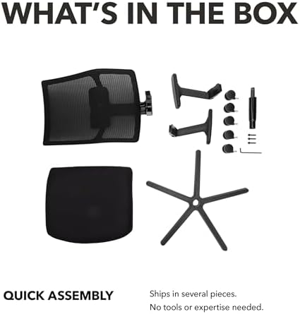 HON Ignition 2.0 Ergonomic Office Chair, Lumbar Support, Desk Chair, Leaf