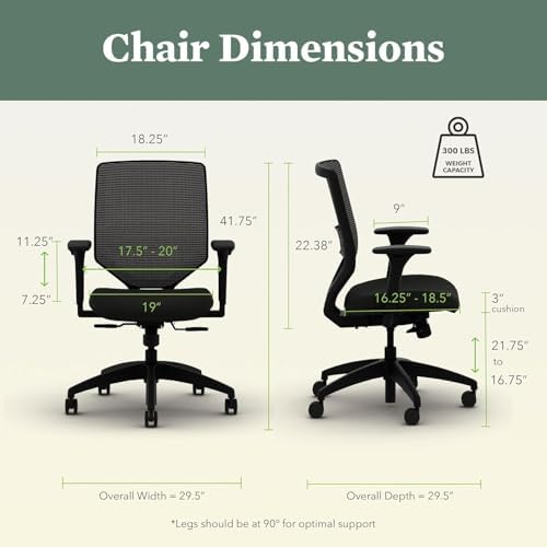 HON Solve Ergonomic Office Chair, Lumbar Support, Desk Chair, Iris
