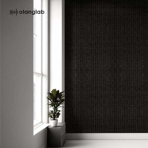 Olanglab Acoustic Wall Panels, 10 Pack, 48" x 24", Black