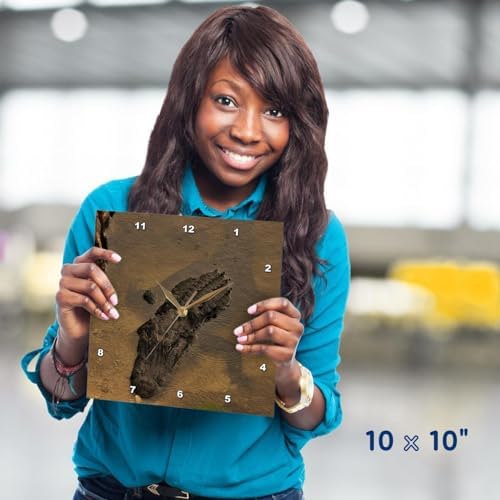 3dRose Wall Clock Silent - 10 inch - Alligator Chilling in the Warm FL Water - Repiles