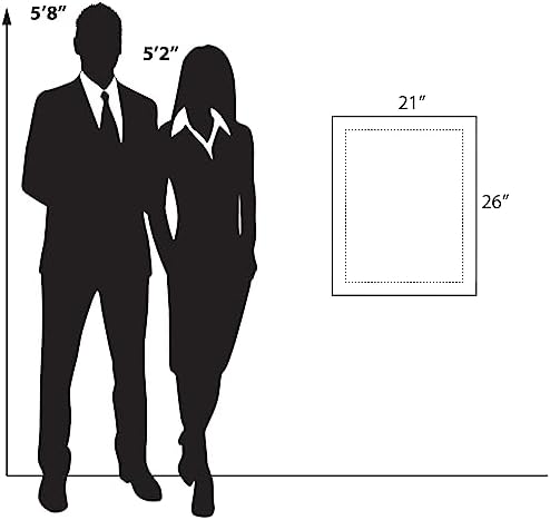 Azar Displays 105528-BLK Acrylic Floating Double Panel Wall Frame,17" x 22" Graphic Size, Overall Frame Size: 21" x 26", Black