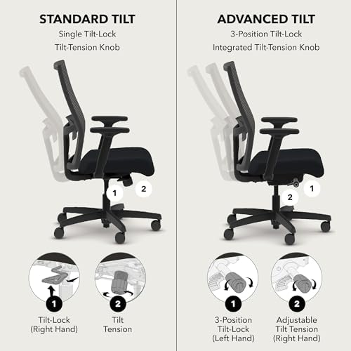 HON Ignition 2.0 Ergonomic Office Chair, Lumbar Support, Desk Chair, Sky