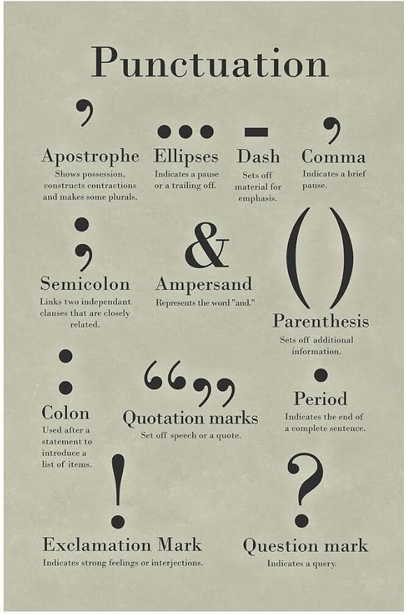 Laminated Punctuation Poster Grammar Writing English Classroom Posters Depth Knowledge Literary Terms Library Class Decorations High School Teacher Home Chart Dry Erase Wall Art 16x24
