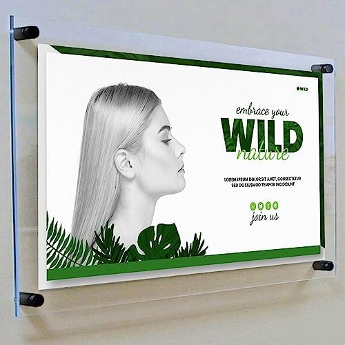 Azar Displays 105528-BLK Acrylic Floating Double Panel Wall Frame,17" x 22" Graphic Size, Overall Frame Size: 21" x 26", Black