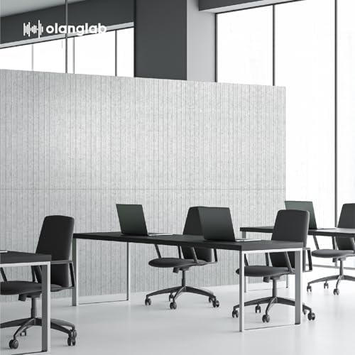Olanglab Acoustic Wall Panels, 10 Pack, 48" x 24", Silver Gray