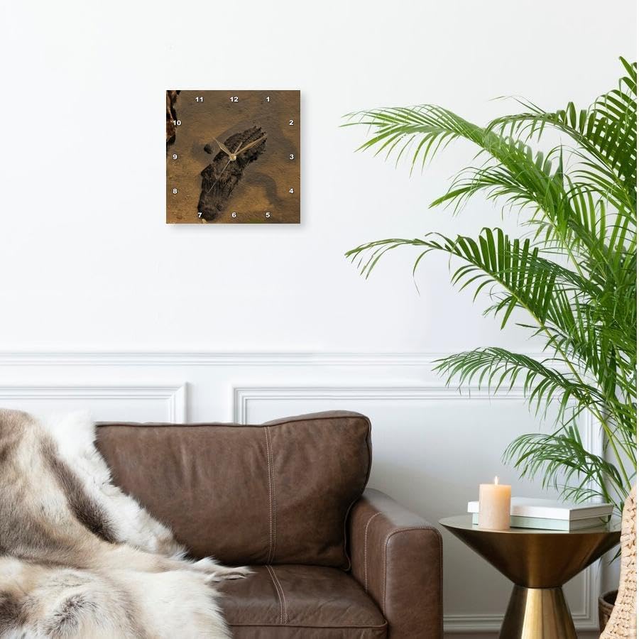 3dRose Wall Clock Silent - 10 inch - Alligator Chilling in the Warm FL Water - Repiles