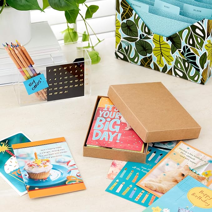 Hallmark All Occasion Boxed Set of Assorted Blank Greeting Cards (100 cards) with Card Organizer Birthday Cards Assortment (20 cards)