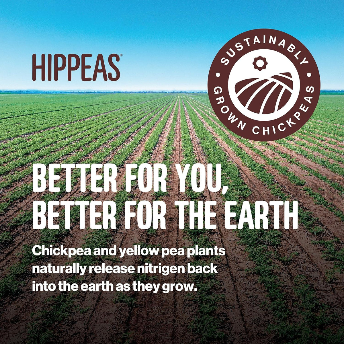 Hippeas Chickpea Puffs, Bold & Spicy Variety Pack: Barbecue, Sriracha, 0.8 Ounce (Pack of 18), 3g Protein, 2g Fiber, Vegan, Gluten-Free, Crunchy, Plant Protein Snacks